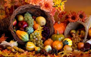 thanksgiving_cornucopia_fall_harvest_friuts_hd-wallpaper-854733